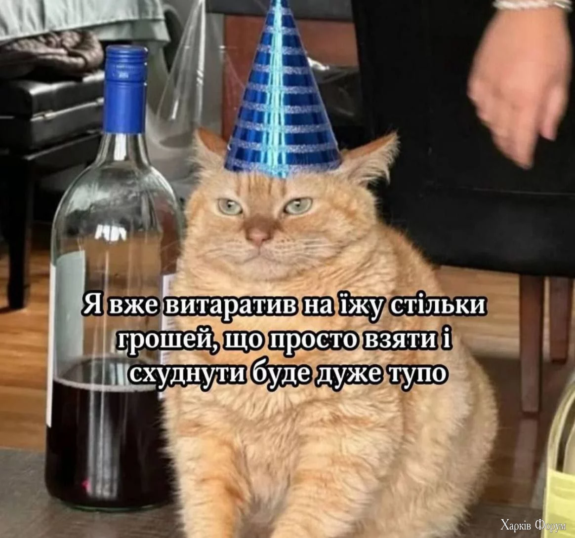1736275631765.webp