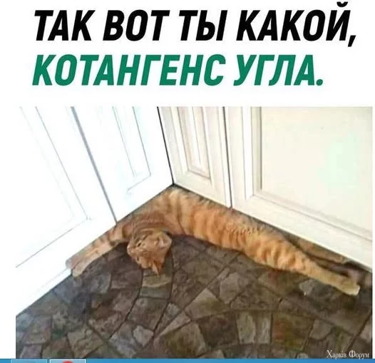1736324362072.webp