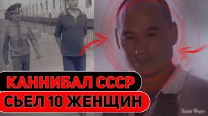 1736350759185.webp