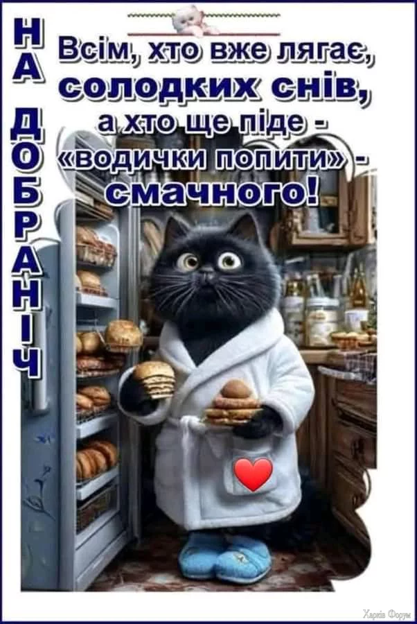 1736373756498.webp