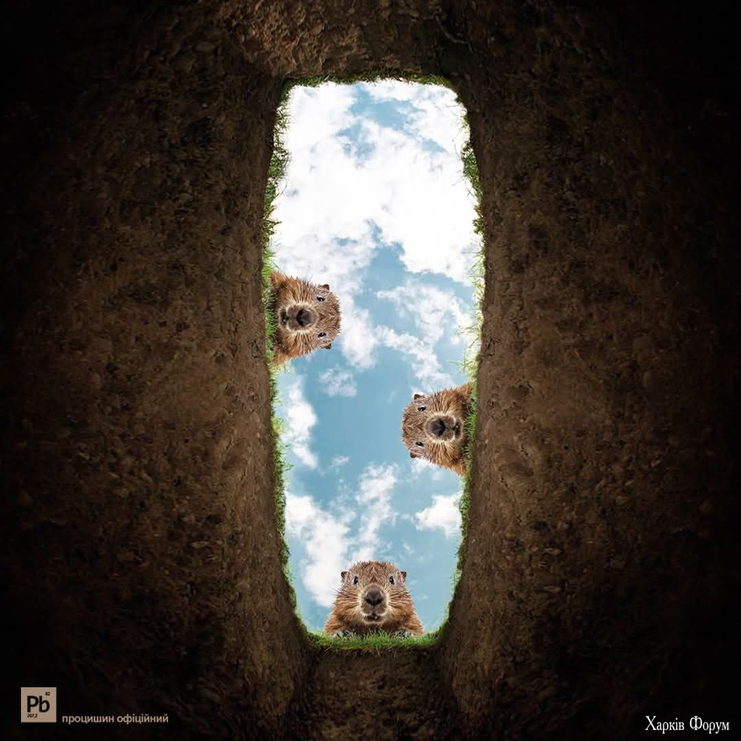 1736427648128.png