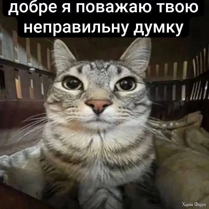 1736439090923.webp