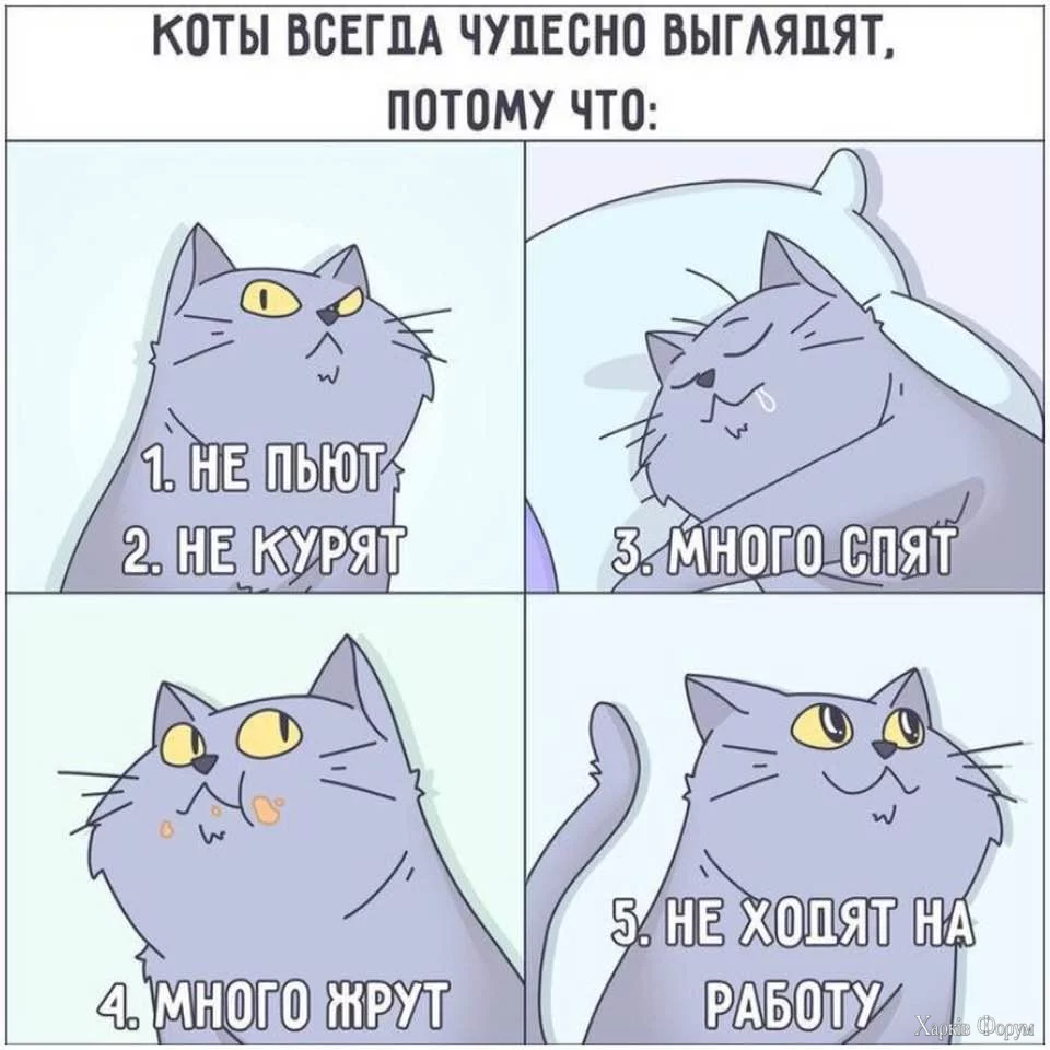 1736444688461.webp