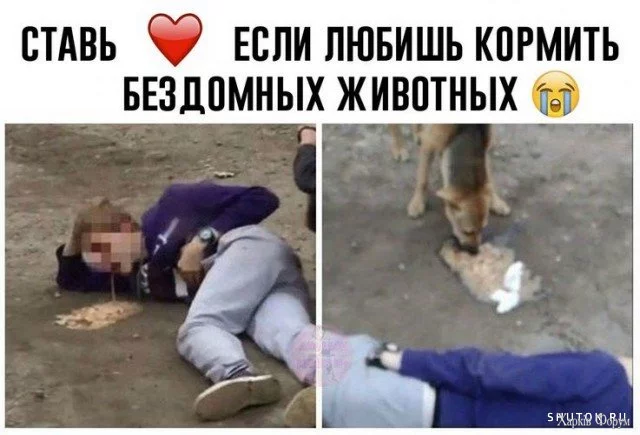 1736445728852.webp