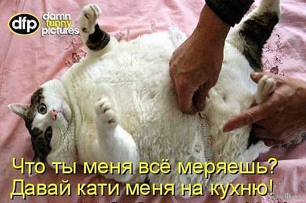 1736446914506.webp