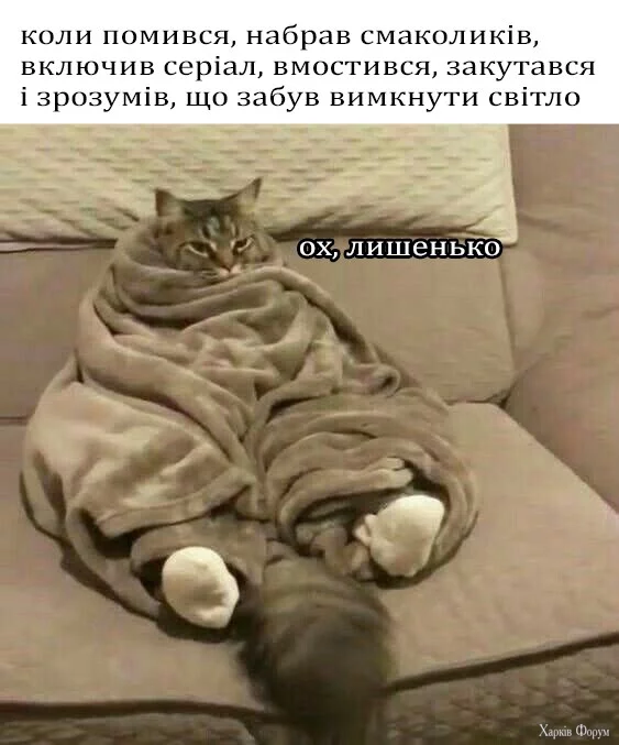 1736521676667.webp