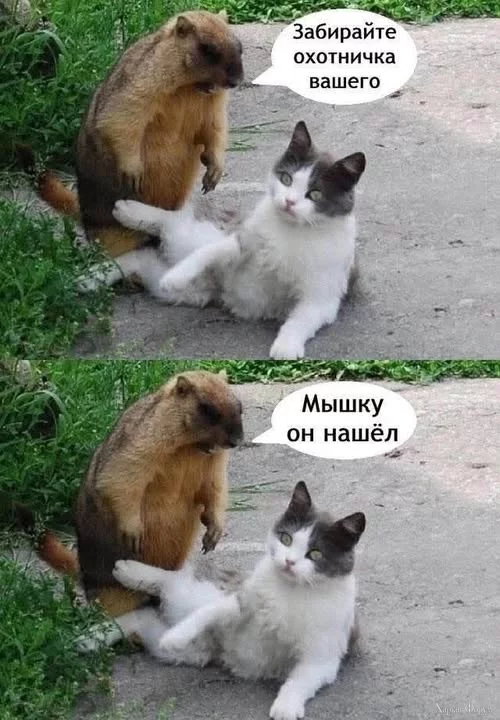 1736540800773.webp