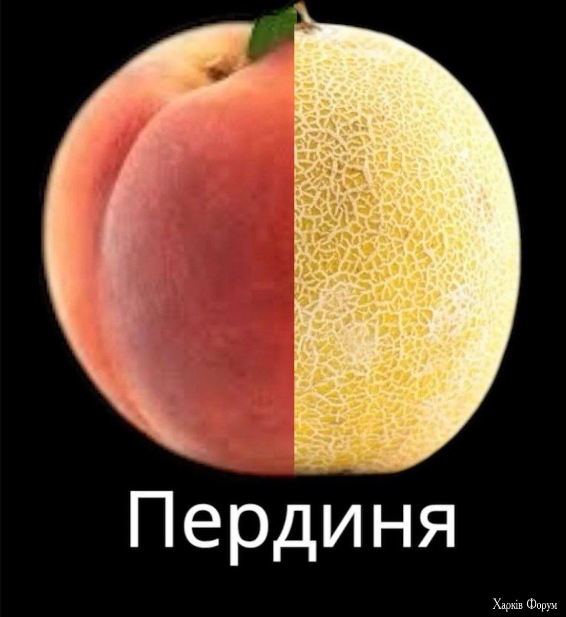 1736666231415.webp