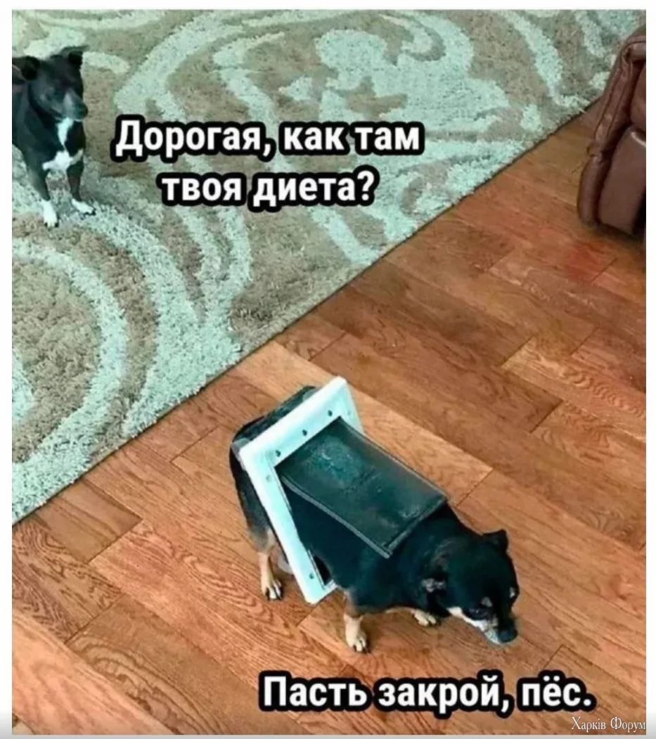 1736701213644.webp