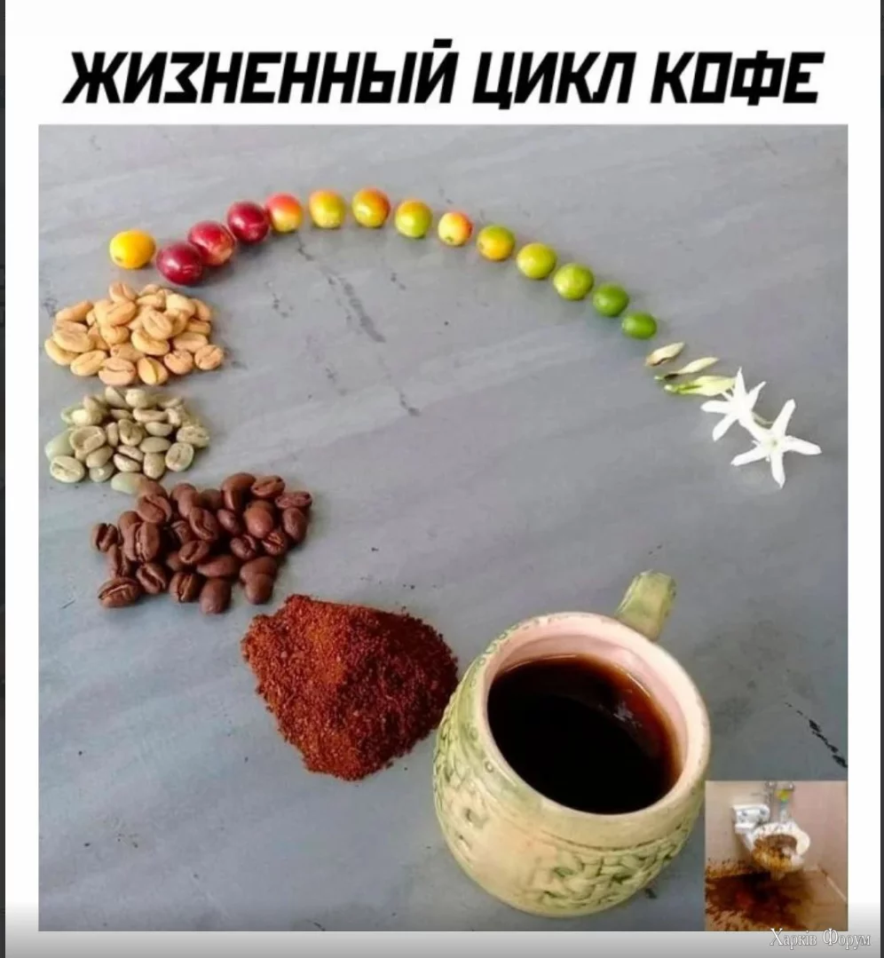 1736701294744.webp