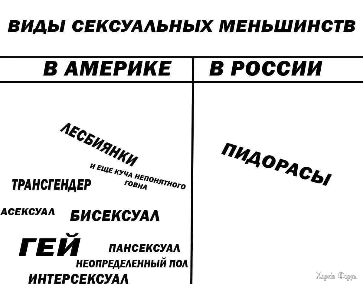 1736962683053.webp
