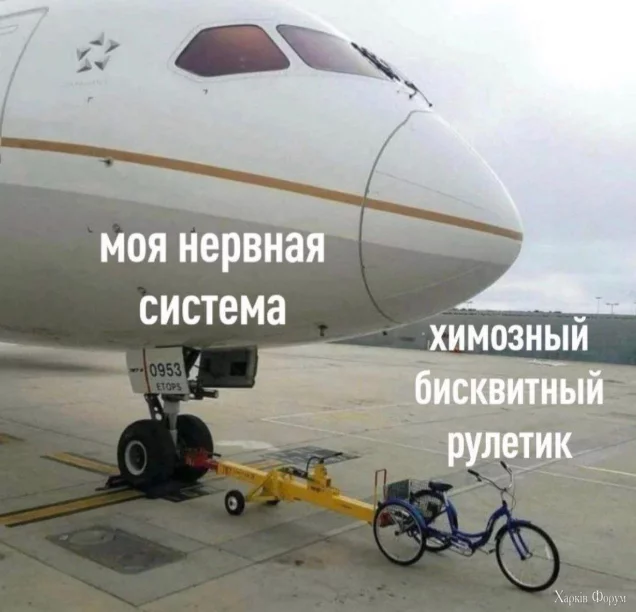 1737546257262.webp