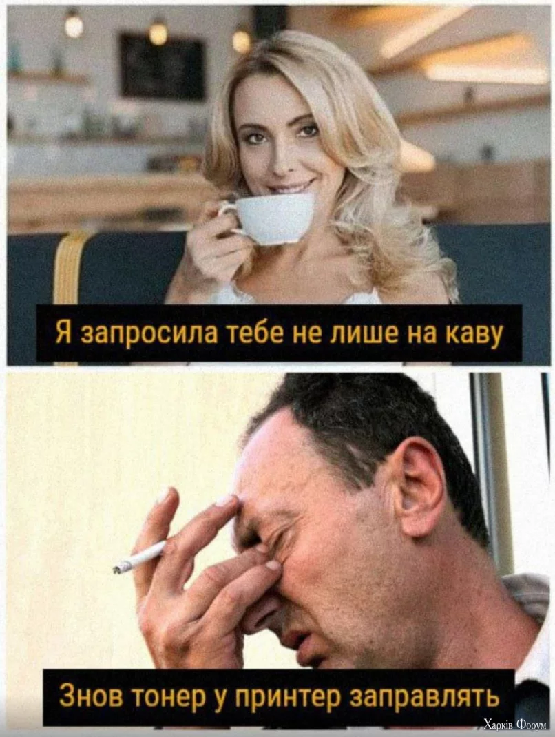 1737549259304.webp