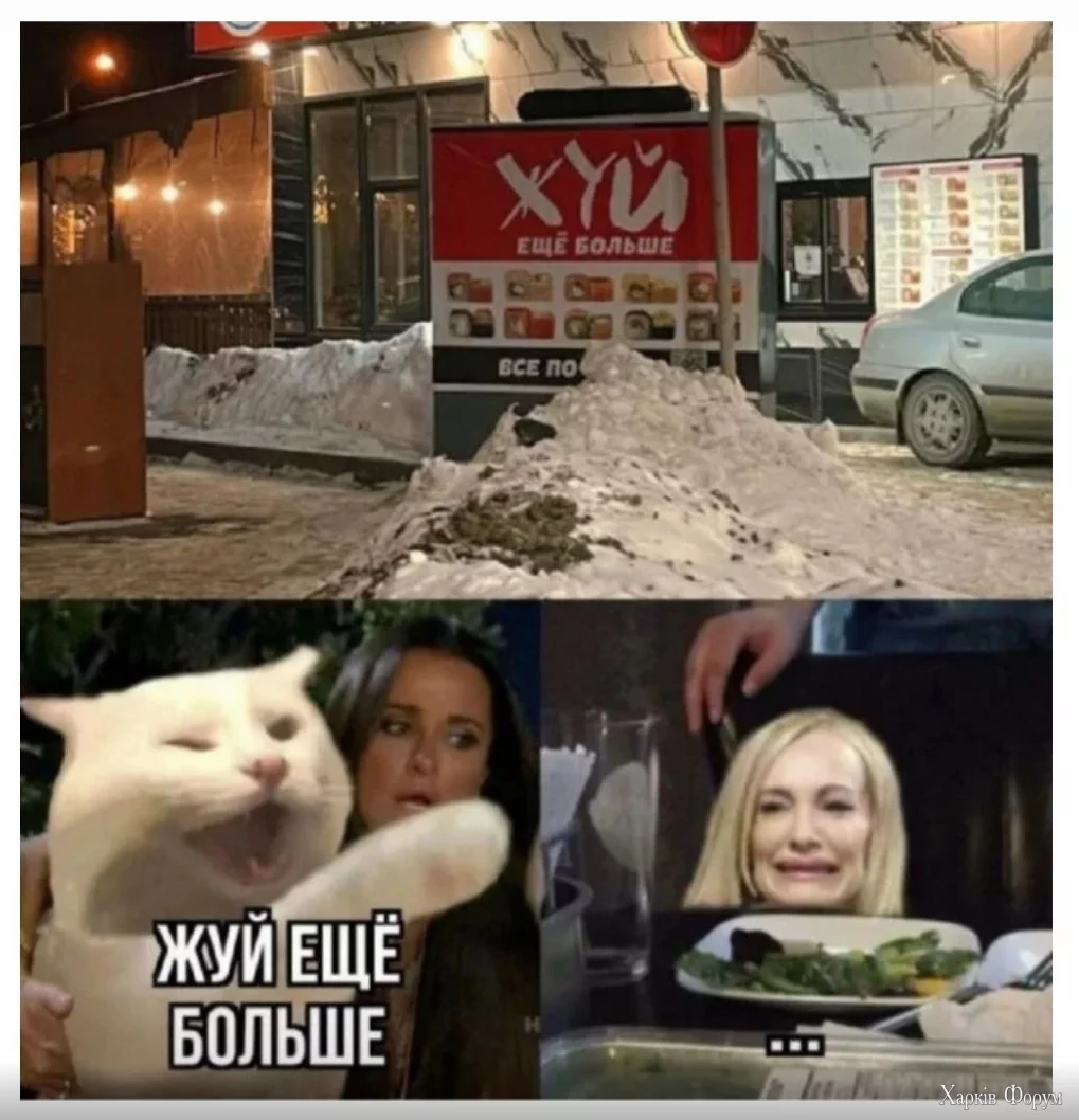1737549382642.webp