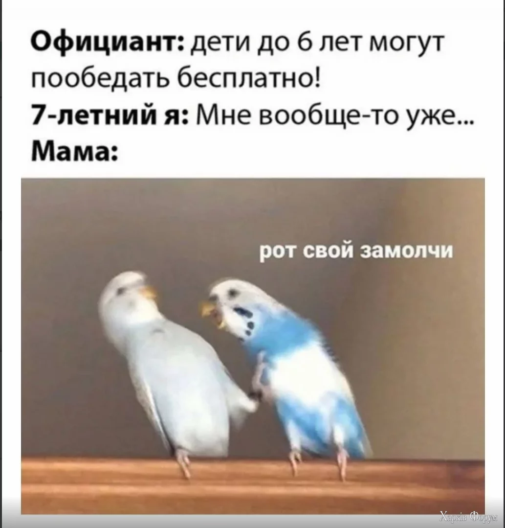 1737554407051.webp