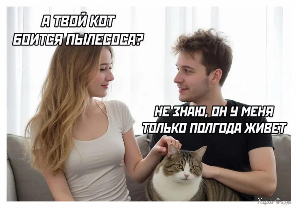 1737559606447.webp
