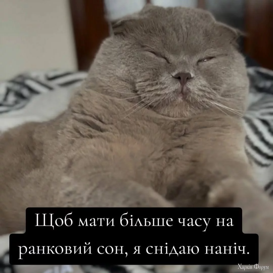 1737617526672.webp