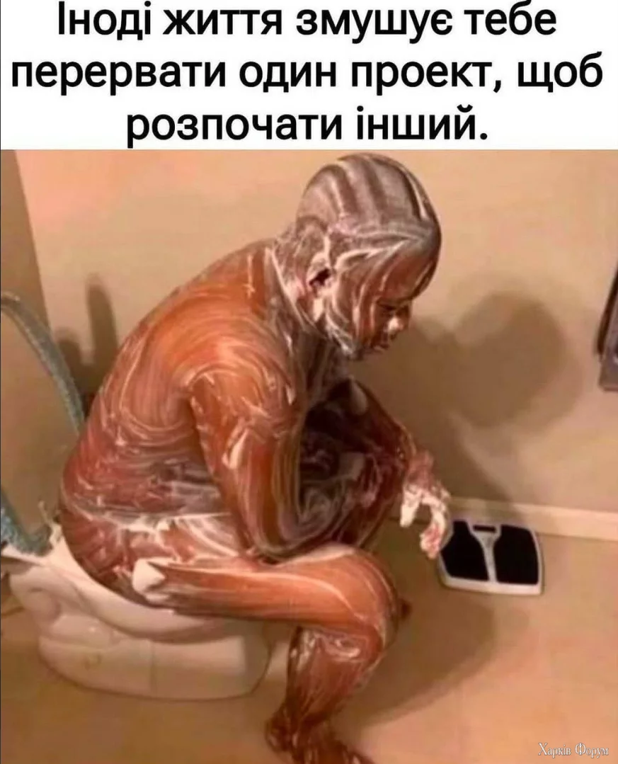 1737625911271.webp