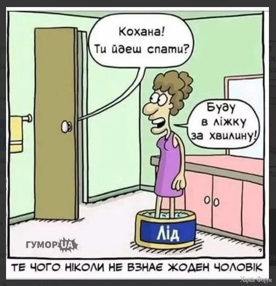1737626046789.webp