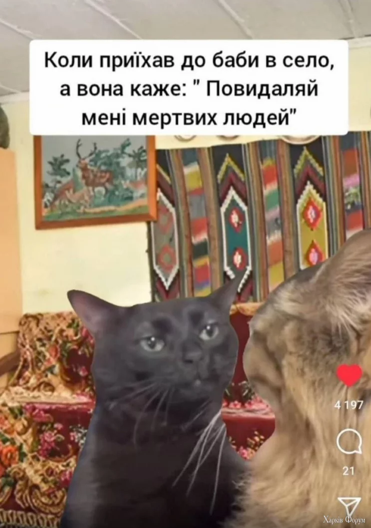 1737634999424.webp