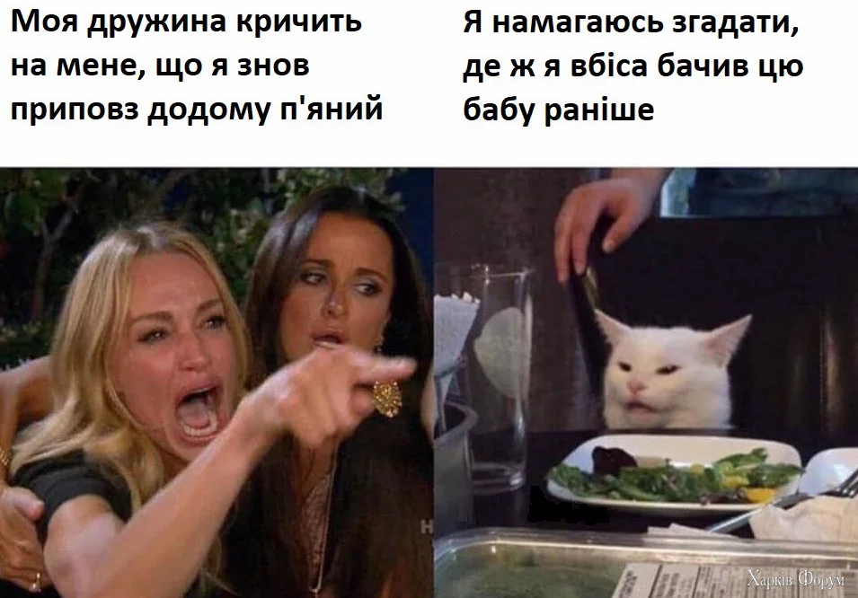 1737658929627.webp