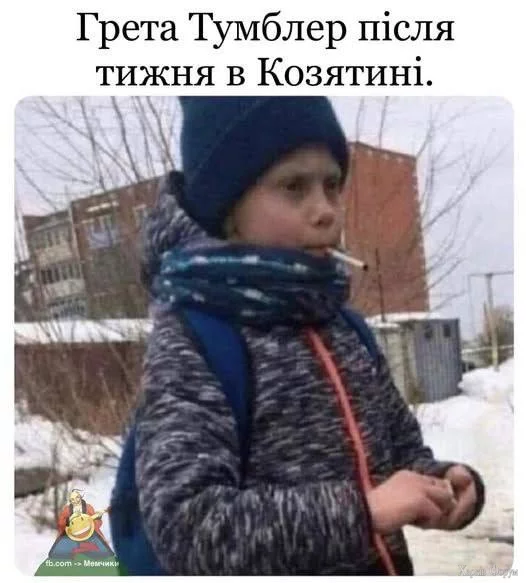 1737679907297.webp