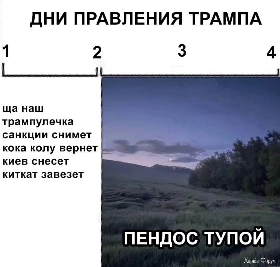 1737712534032.webp