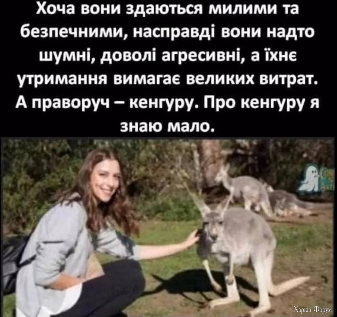 1737813961665.webp