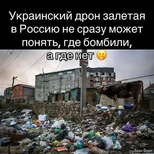 1738188415311.png
