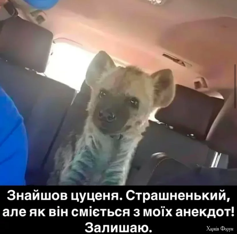 1738240592357.webp