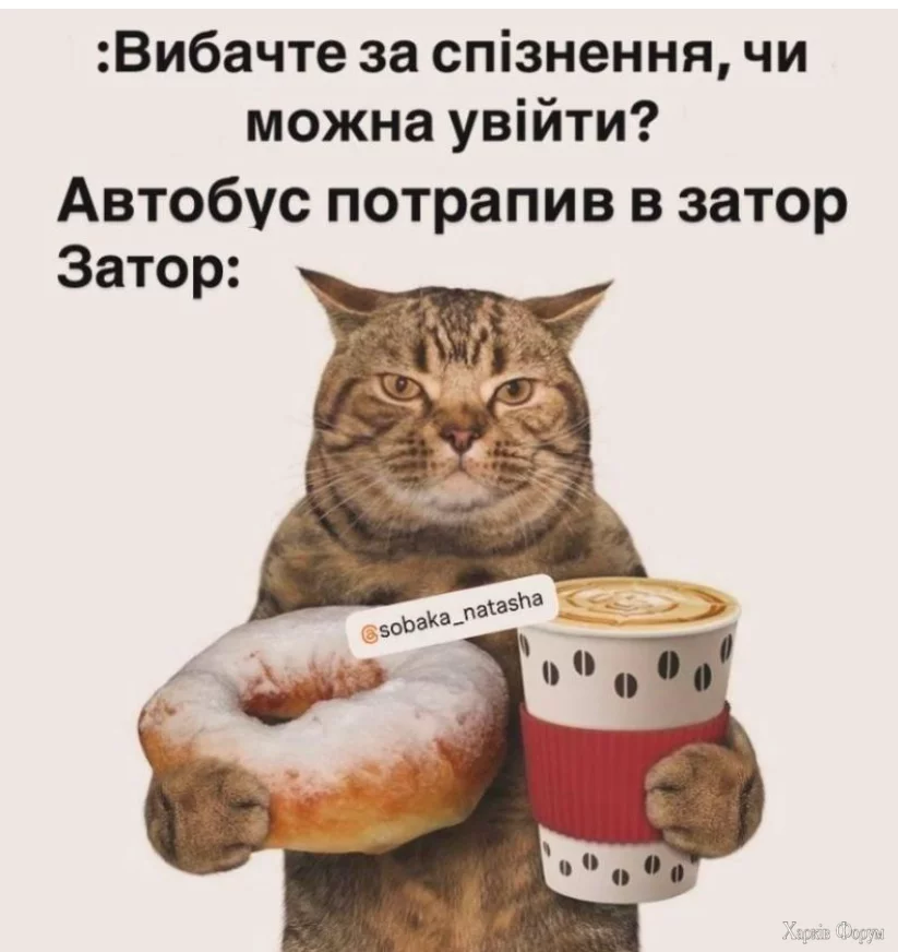 1738240755963.webp