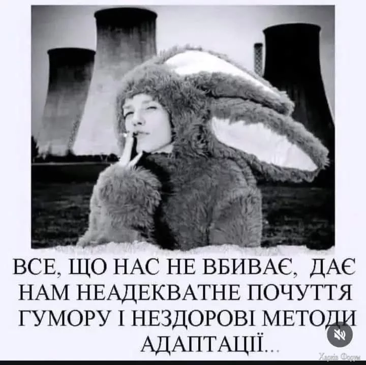 1738250529230.webp