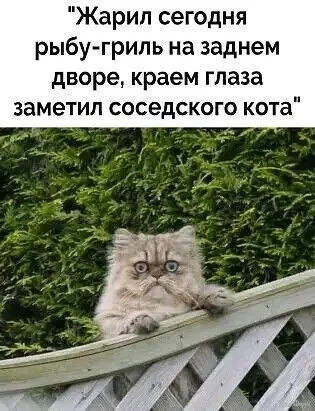 1738324998390.webp