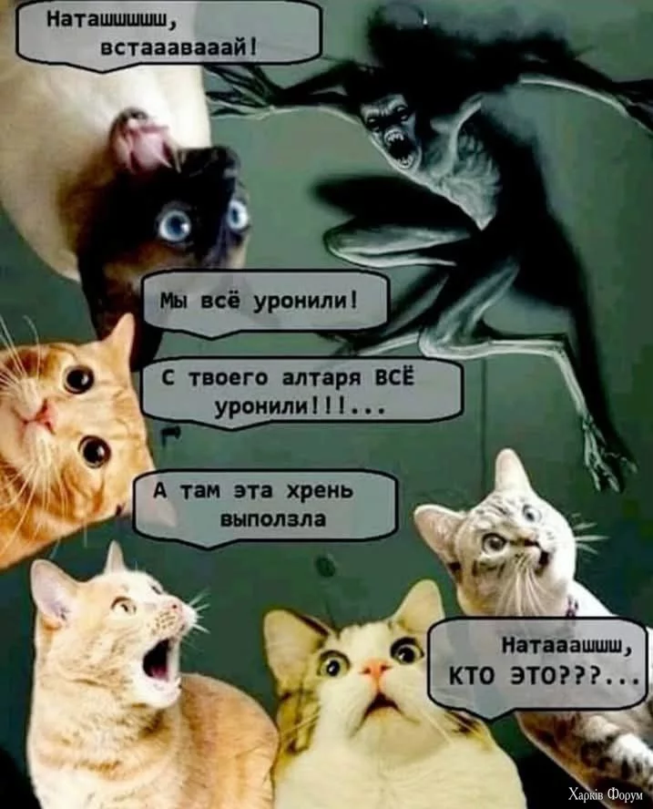 1738412465140.webp