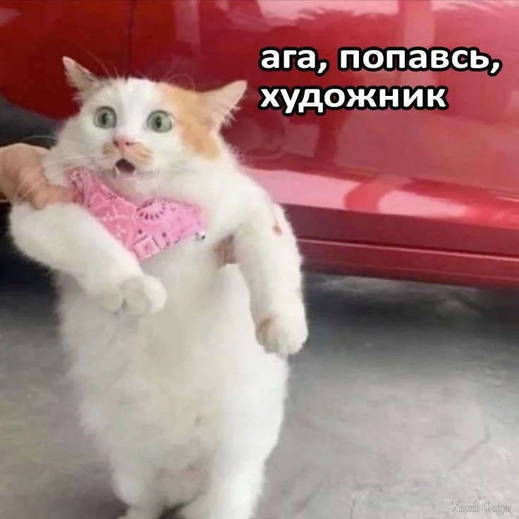 1738435304192.webp
