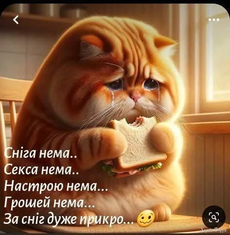 1738473270700.webp