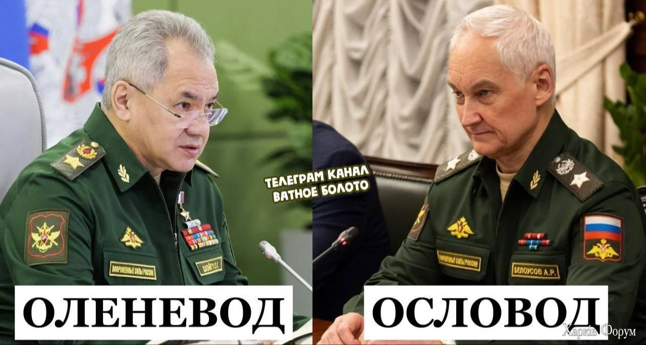 1738919196712.webp