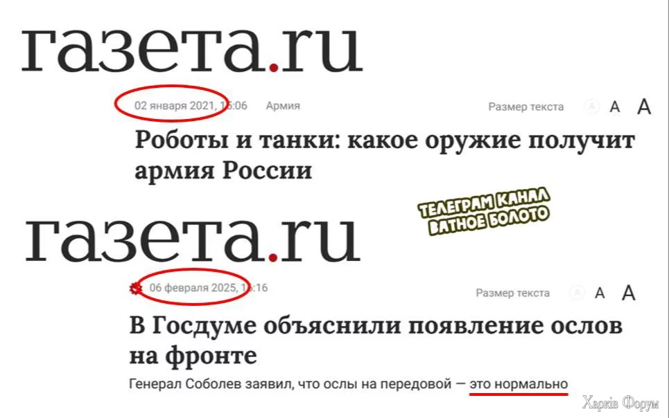 1739004840447.webp