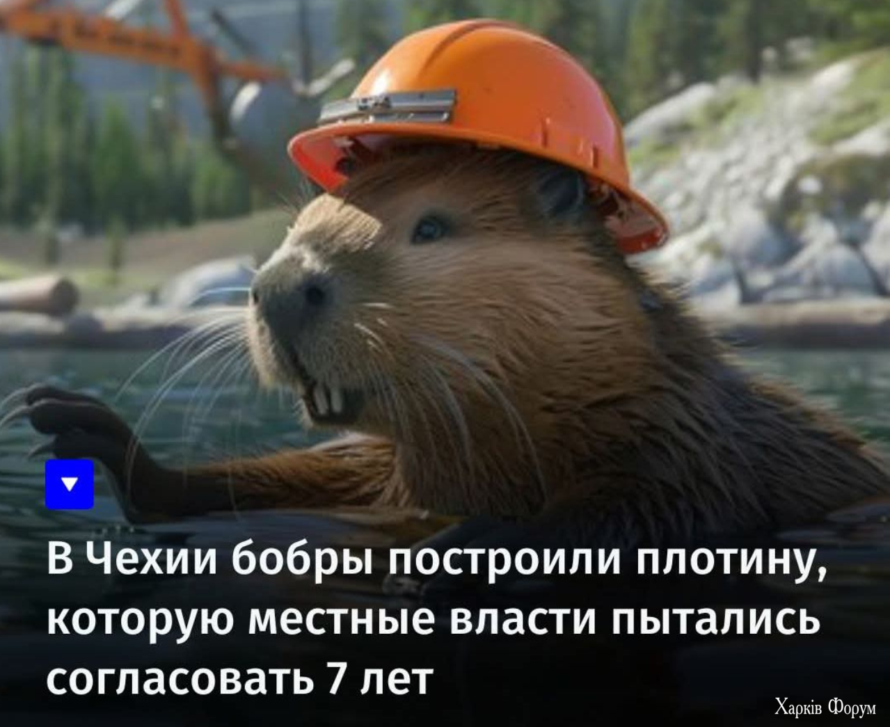 1739387330062.png