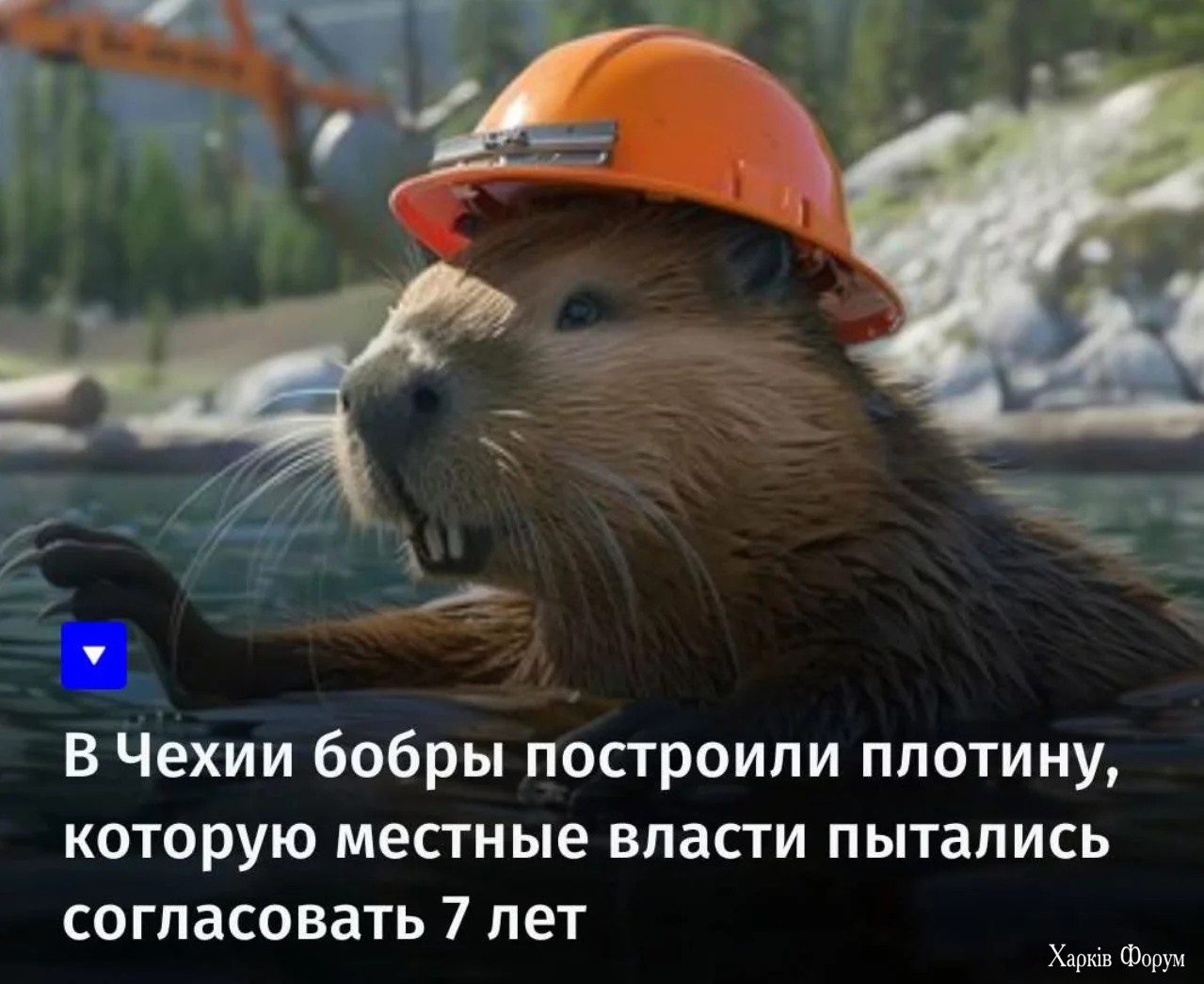 1739387330062.webp