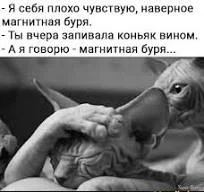 1739467738067.webp