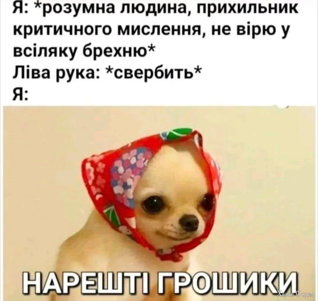 1739479928064.webp