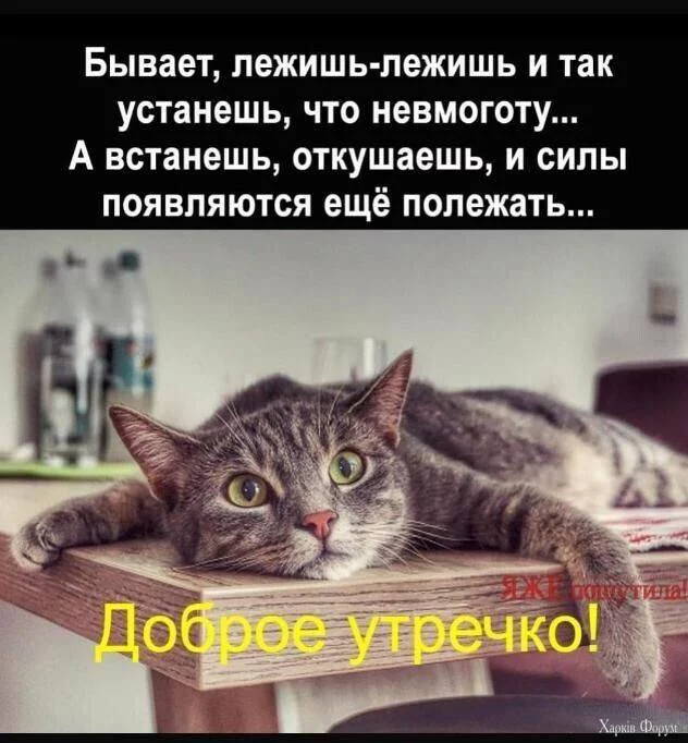 1739768672270.webp