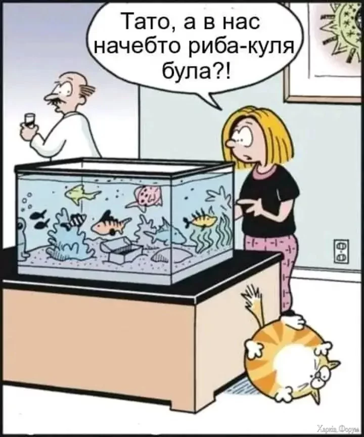 1739818409566.webp