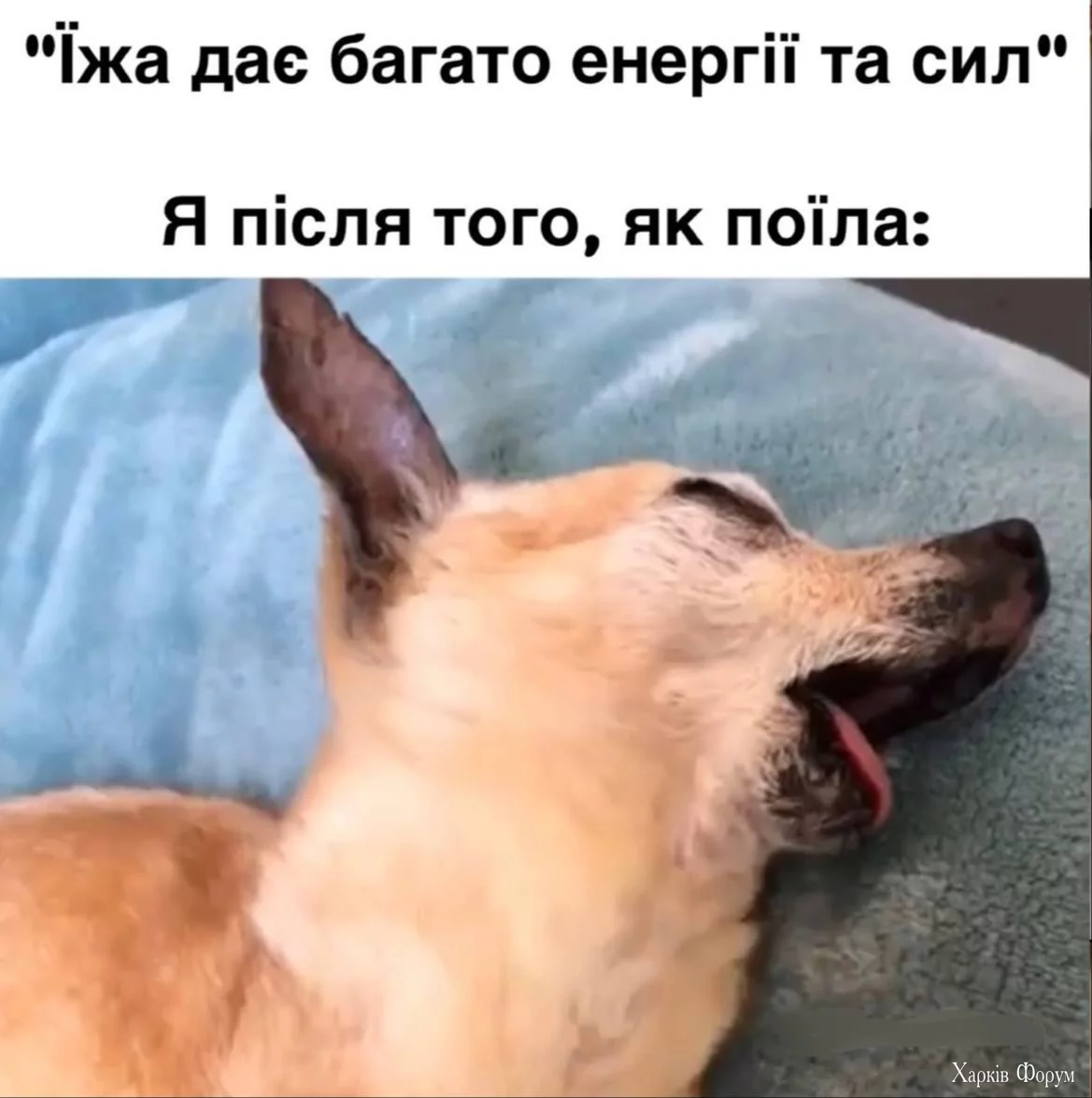 1740057003290.webp