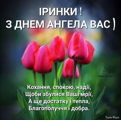 1740301240538.webp