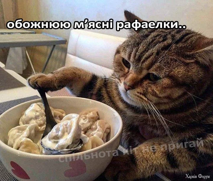 1740321116565.webp