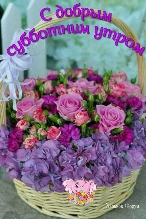 174038f814007c6f3f.webp