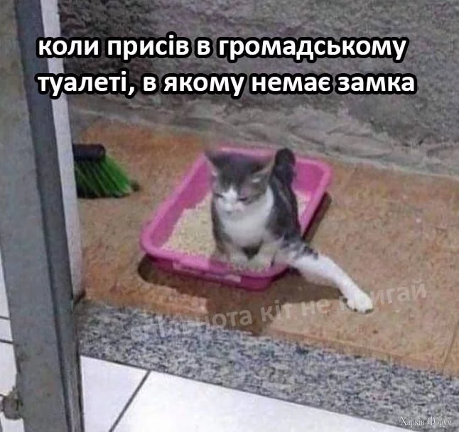 1740424670418.webp