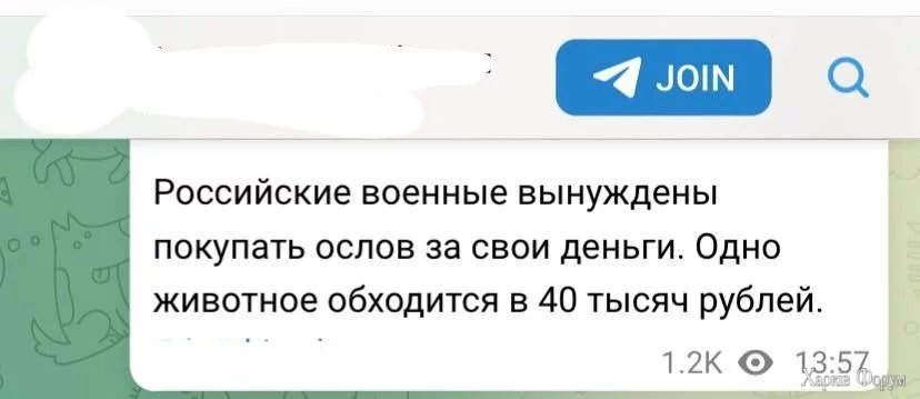 1740509396276.webp